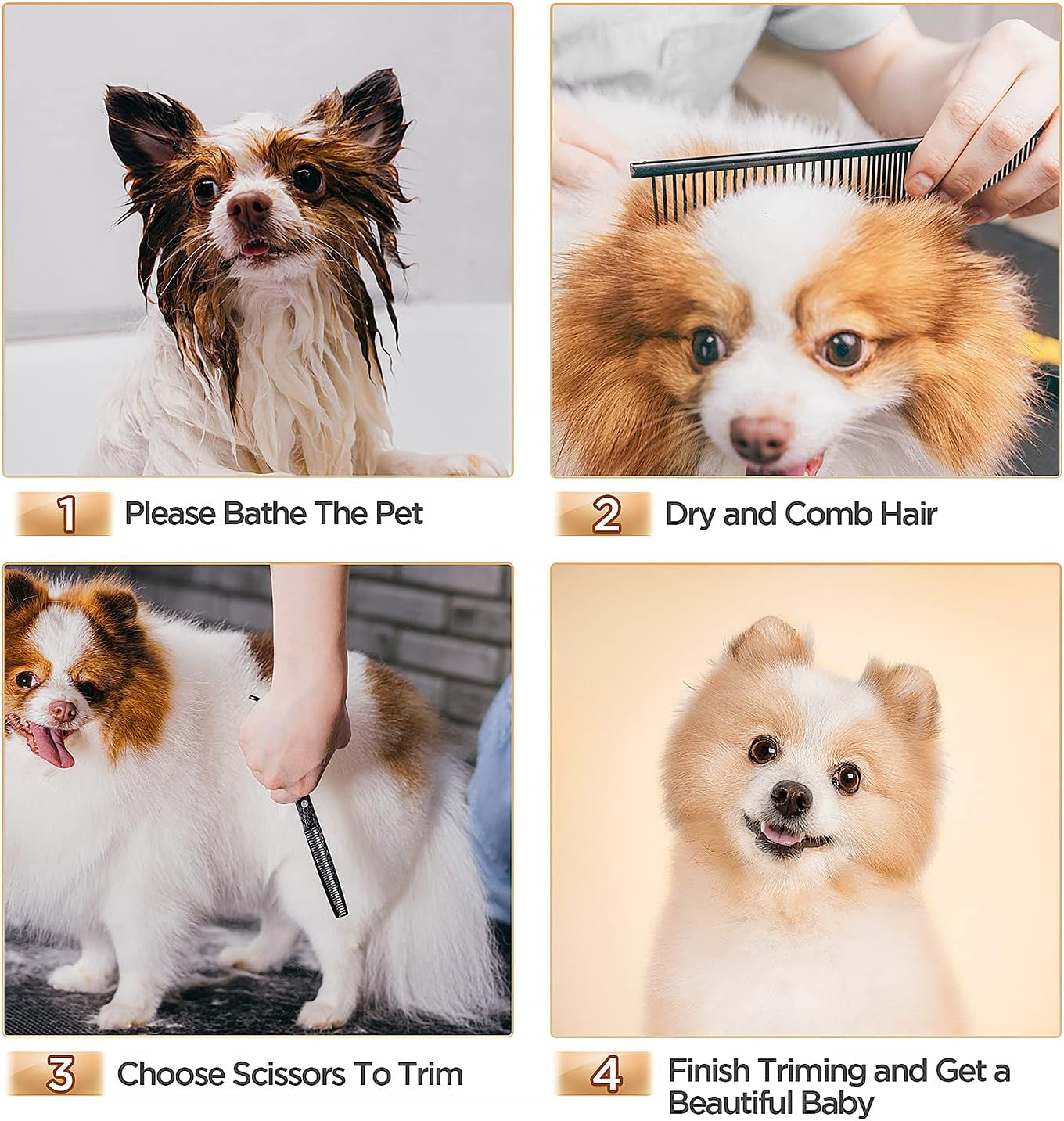 4CR Stainless Steel Safety round Tip 6 in 1 Professional Dog Grooming Scissors Kit, Heavy Duty Titanium Coated Straight & Thinning & Curved Shears & Comb Set for Dog & Cat Grooming